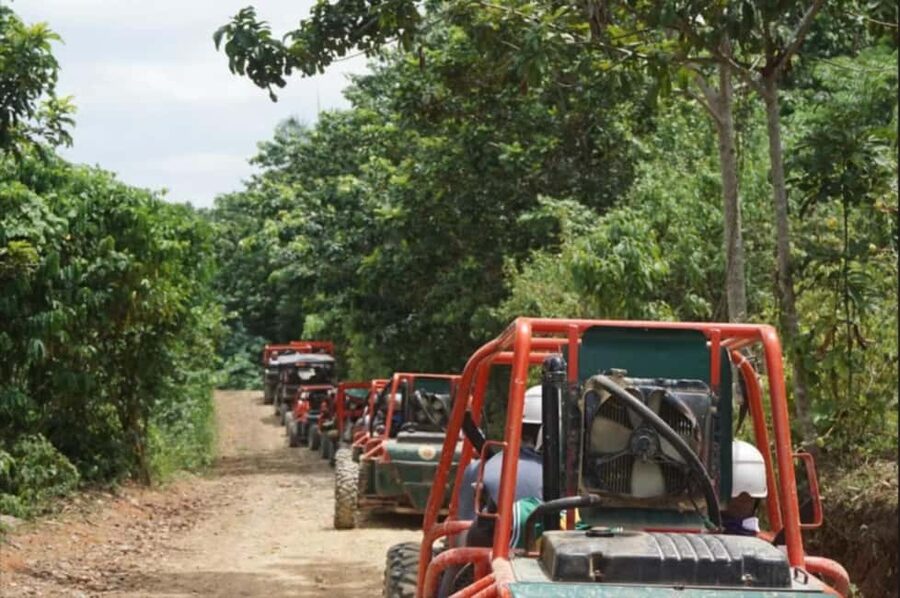 From Punta Cana or La Romana: Sugarcane Fields Buggy or Quad - Key points before you book