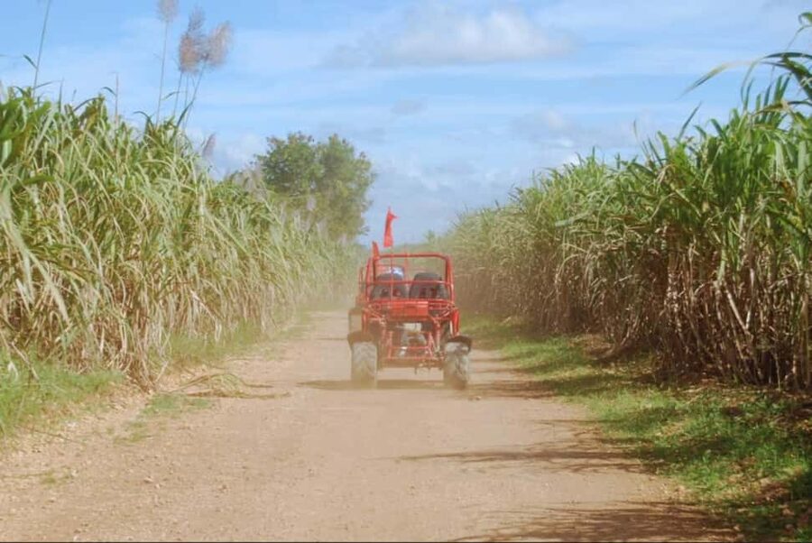 From Punta Cana or La Romana: Sugarcane Fields Buggy or Quad - The Chavón River stop