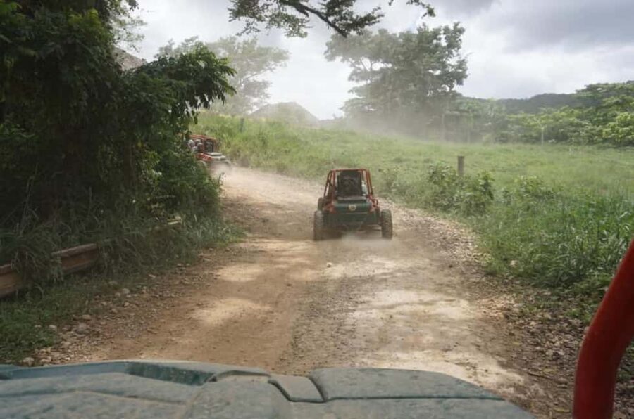 From Punta Cana or La Romana: Sugarcane Fields Buggy or Quad - Sugarcane fields, tastings, and village roads