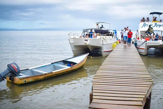 Full Day Bacardi Whale Watching - End Season March 30th - Who Will Enjoy This Day Most