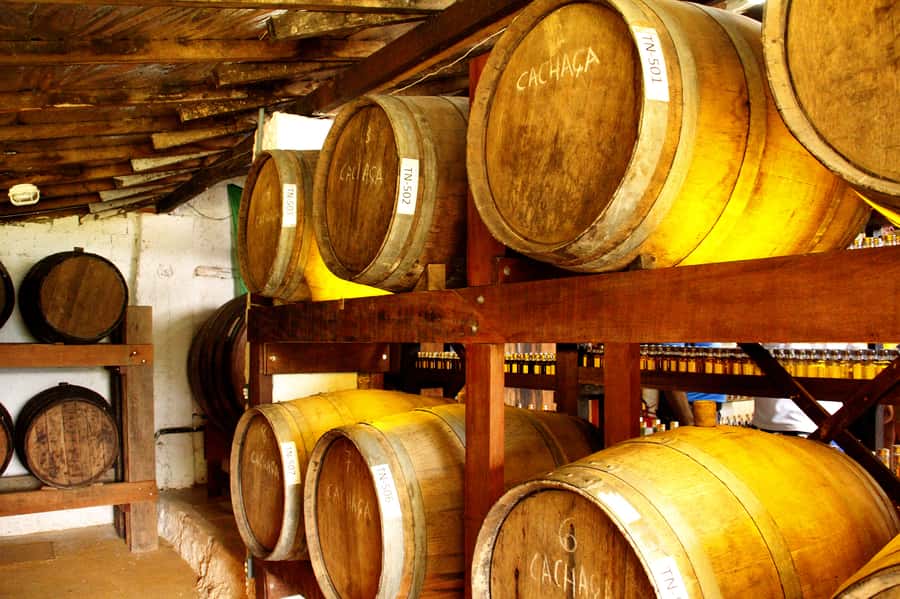 Full-Day Jungle Jeep Waterfall and Cachaça Distillery Tour - Who Should Book This Jeep Tour?