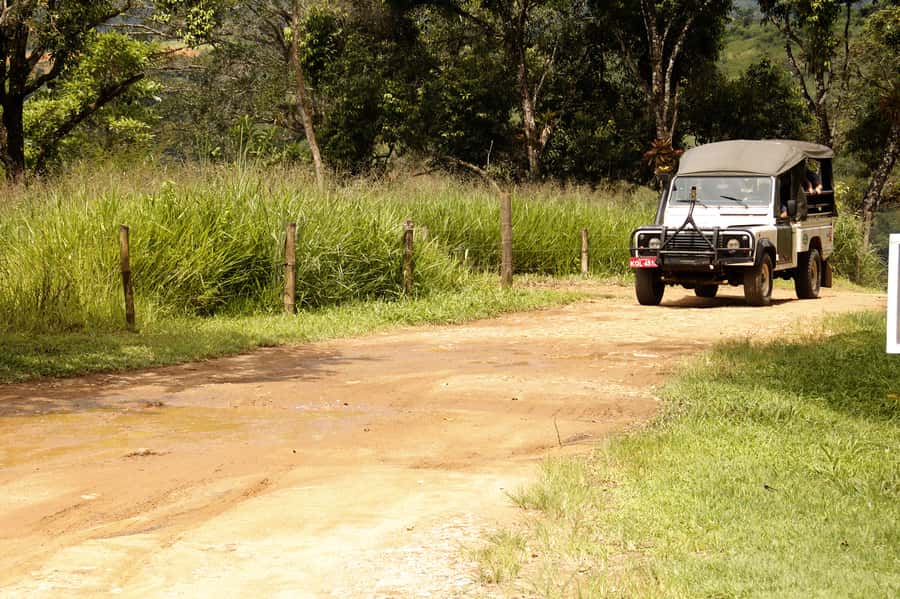 Full-Day Jungle Jeep Waterfall and Cachaça Distillery Tour - Paraty’s Gold Trail and Serra da Bocaina