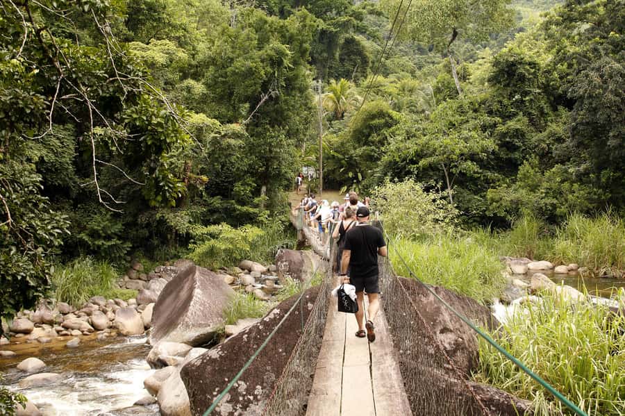 Full-Day Jungle Jeep Waterfall and Cachaça Distillery Tour - Engenho D’ouro and the Taste of Cachaça