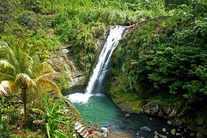 Full-Day Tour: Concord Waterfall, Chocolate Factory, Rum Distillery, Grand Etang - Key points to know before booking