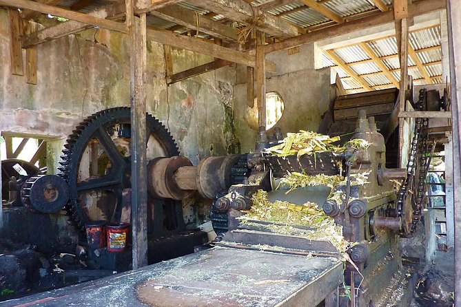 Full-Day Tour: Concord Waterfall, Chocolate Factory, Rum Distillery, Grand Etang - Sauteurs Bay: local food and a welcome pause