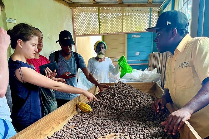 Full-Day Tour: Concord Waterfall, Chocolate Factory, Rum Distillery, Grand Etang - How the $115 price measures up