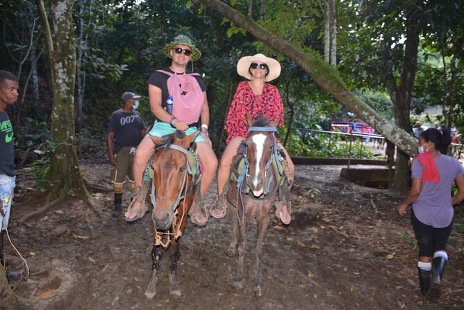 Full-Day Trip to Limon Waterfall and Bacardi Island - Who will enjoy this trip most