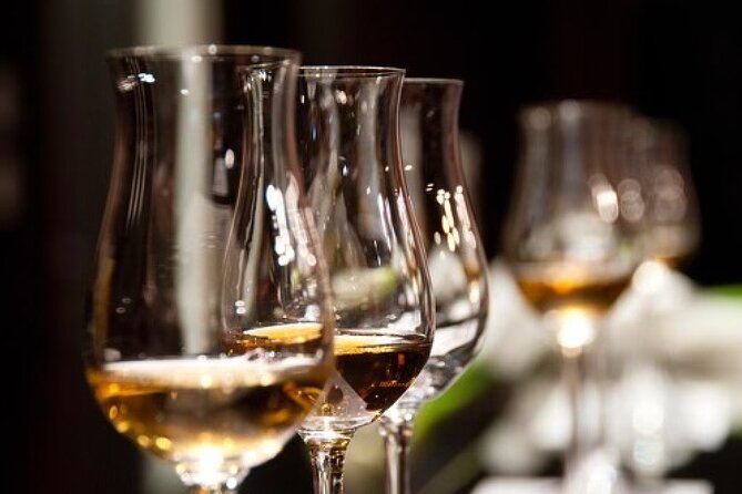 Gin & Rum Tasting in Frankfurt am Main - Making Your Own Long Drink