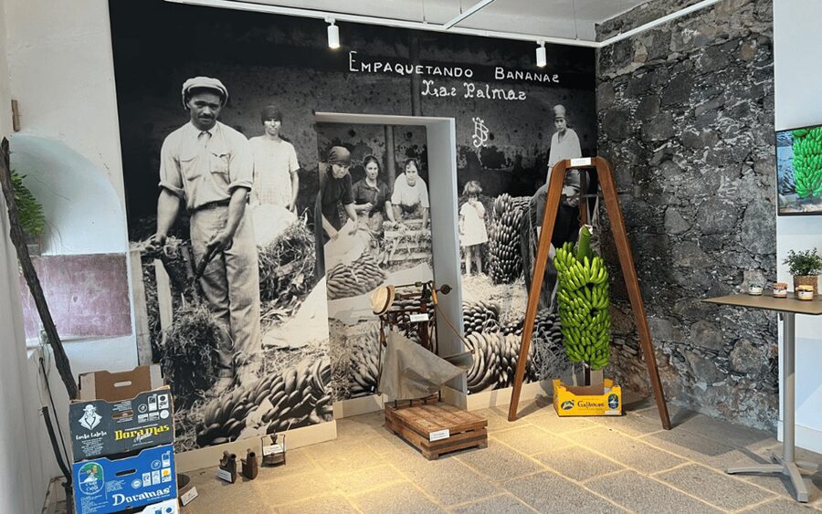 Gran Canaria: Rum, Wines and Banana Tour - Wine, coffee, and mountain views near Agaete