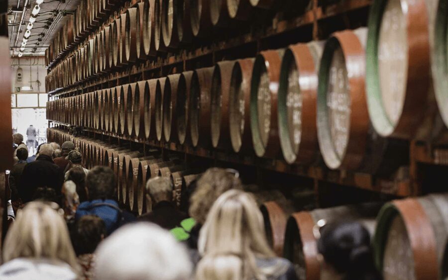 Gran Canaria: Rum, Wines and Banana Tour - Transport, pickup, and the time you really need