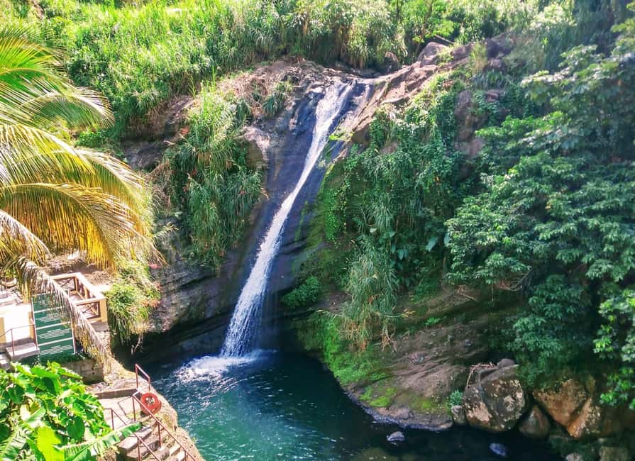 Grenada: Culture and Nature Island Tour with Chocolate & Rum - Grand Etang brings you into Grenada’s forested interior
