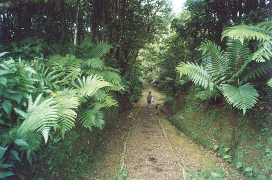 Grenada: Culture and Nature Island Tour with Chocolate & Rum - What the $115 price really covers