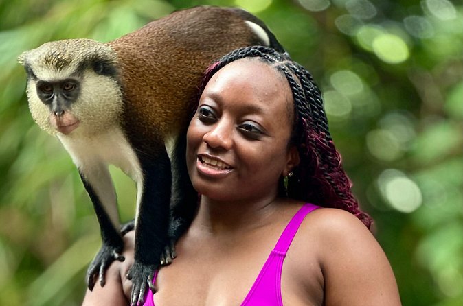 Grenada Day Tour-Concord Falls, Chocolate, Rum & Grand Etang Lake - Who will enjoy this six-hour Grenada tour