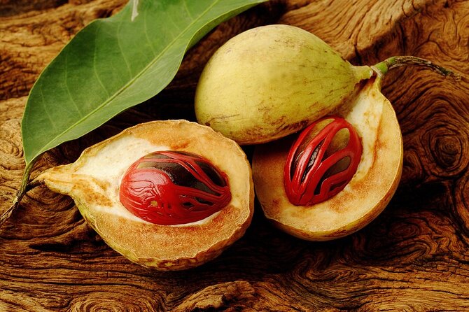 Grenada Spice Gardens, Rum & Chocolate Tour (Full/Half Day) - The Carenage and St. George’s views