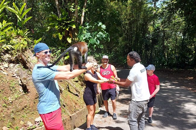 Grenada Spice with Rum and Cocoa Heritage Tour - What the $140 price really covers