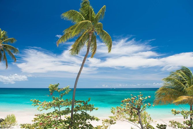 Grenada West Coast: Waterfalls, Chocolate & Rum Half-Day Tour - A fast introduction to Grenada’s west coast