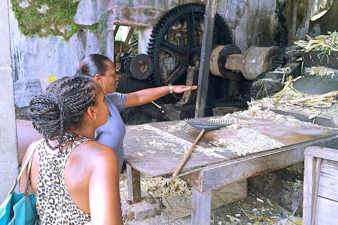 Grenada West Coast: Waterfalls, Chocolate & Rum Half-Day Tour - Jouvay Chocolate: a compact look at cocoa production