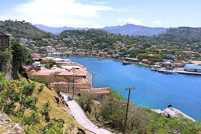 Grenada West Coast: Waterfalls, Chocolate & Rum Half-Day Tour - Grand Etang and Mona monkeys: the wildlife element