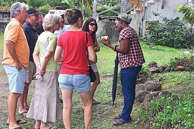 Grenada West Coast: Waterfalls, Chocolate & Rum Half-Day Tour - Caribs’ Leap: a brief stop with serious meaning
