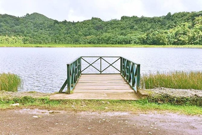 Grenada West Coast: Waterfalls, Chocolate & Rum Half-Day Tour - What $145 means in practical terms