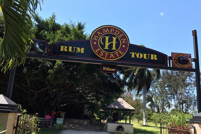 Hampden Estate Rum Tour and Lunch from Montego Bay - Key points to know before booking