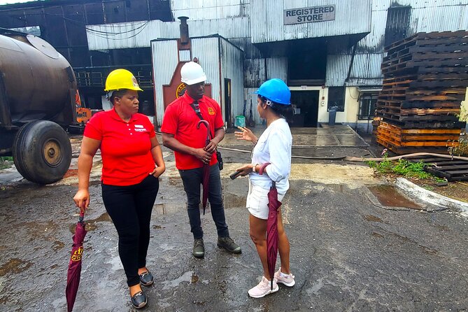 Hampden Estate Rum Tour and Lunch from Montego Bay - Rum tasting with a proper Jamaican lunch