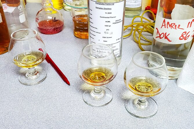 Hampden Estate Rum Tour and Lunch from Montego Bay - What the rum-making lesson adds