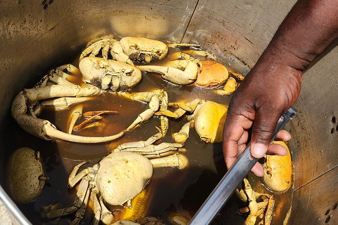 Jamaican Street Food and Rum Tasting Private Tour - What the private format changes
