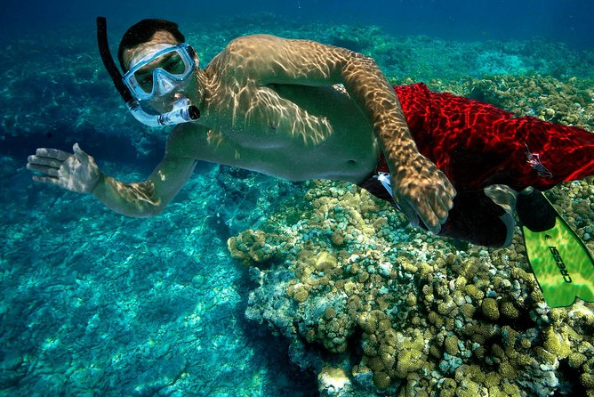 Key West Rum and Reggae: Reef Snorkel Adventure and Sunset Sail - Leaving from 241 Front Street