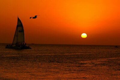 Key West Rum and Reggae: Reef Snorkel Adventure and Sunset Sail