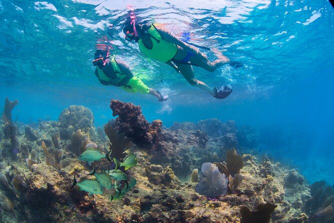 Key West Rum and Reggae: Reef Snorkel Adventure and Sunset Sail - Price, group size, and overall value