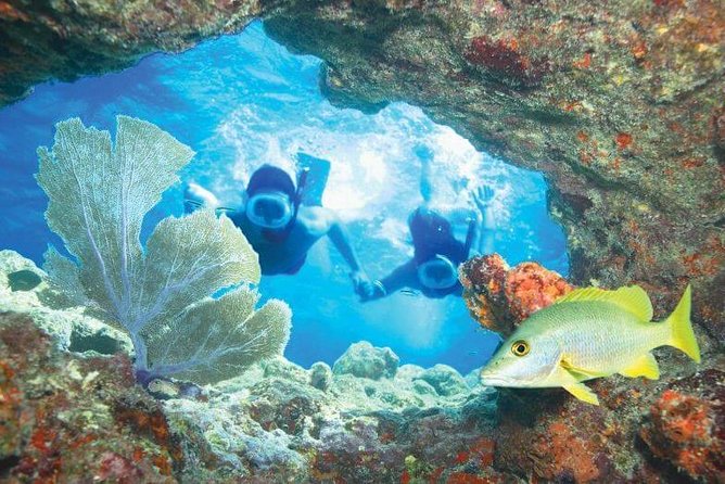 Key West Rum and Reggae: Reef Snorkel Adventure and Sunset Sail - Should you book the Key West Rum and Reggae trip?
