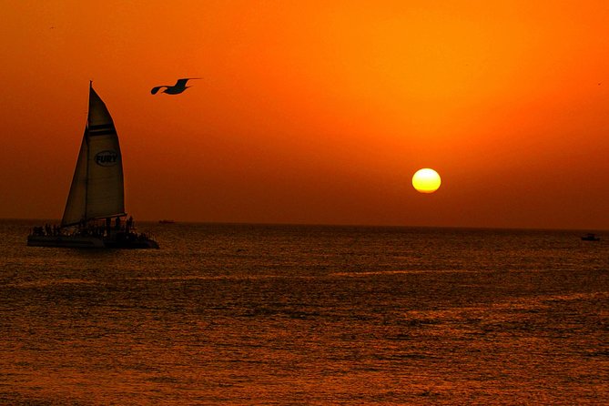 Key West Rum and Reggae: Reef Snorkel Adventure and Sunset Sail - What you see below the surface
