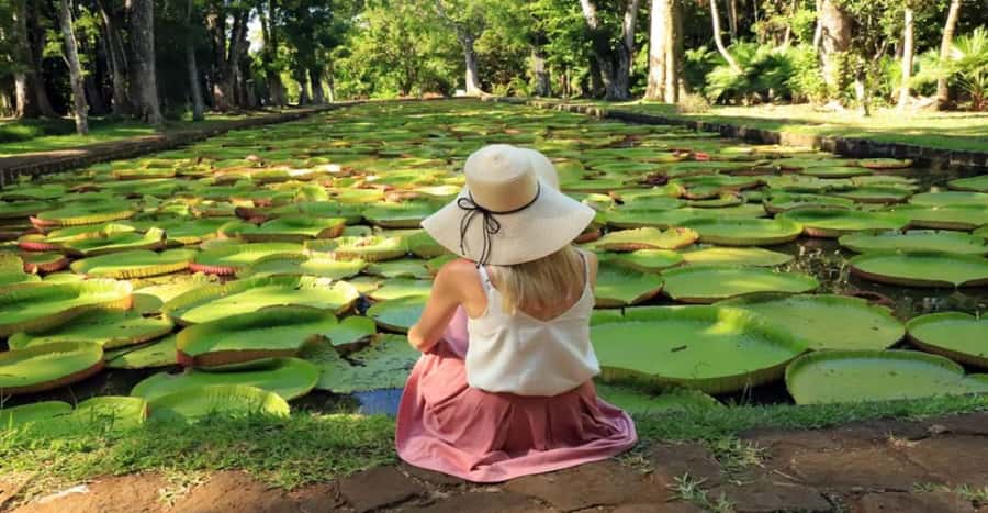 local Market,Botanical garden,Rum tasting & authentic Lunch - A full day from Port Louis to the north