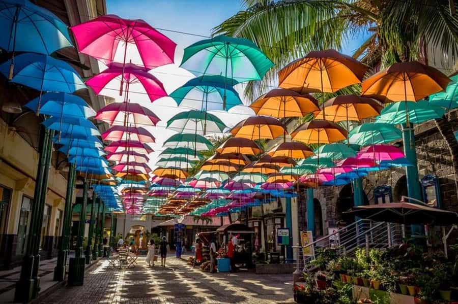 local Market,Botanical garden,Rum tasting & authentic Lunch - Pamplemousses and its giant water lilies