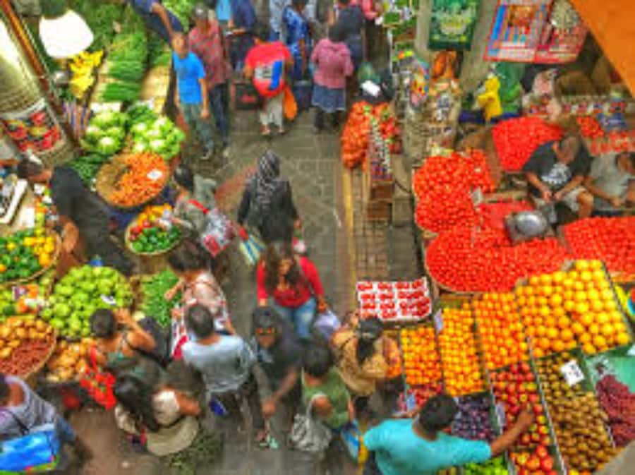 local Market,Botanical garden,Rum tasting & authentic Lunch - Who should book this northern Mauritius day
