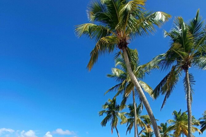 Los Haitises National Park, Montaña Redonda & Bacardi Island - Who will get the most from this tour