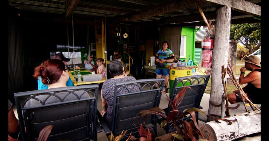 Mackay: 3 Hour Sugarcane Farm Tour - Key points to know before you go