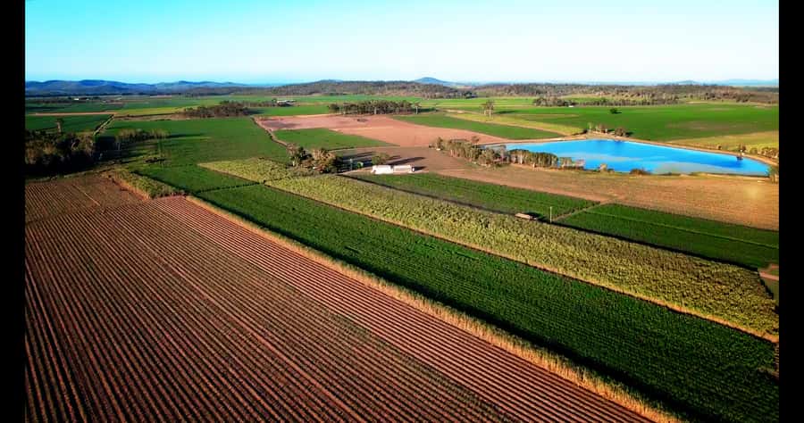 Mackay: 3 Hour Sugarcane Farm Tour - Is $48 good value for three hours?