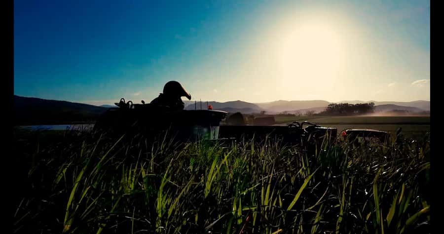 Mackay: 3 Hour Sugarcane Farm Tour - Practical details that can affect your morning