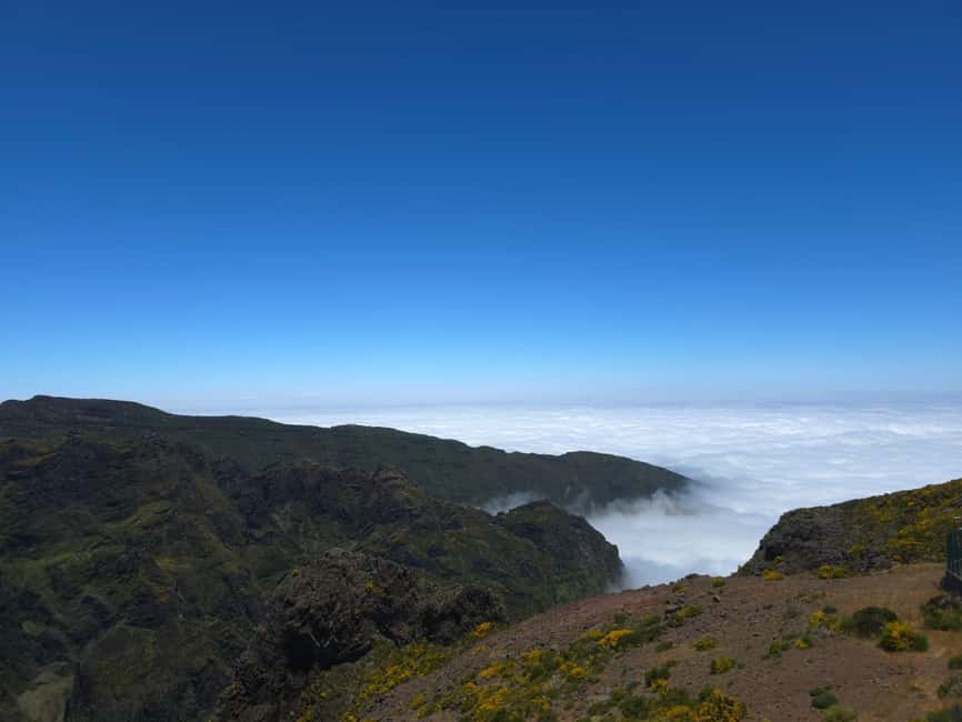 Madeira: East Island Tour with Rum Tasting - Ribeiro Frio and the forested interior