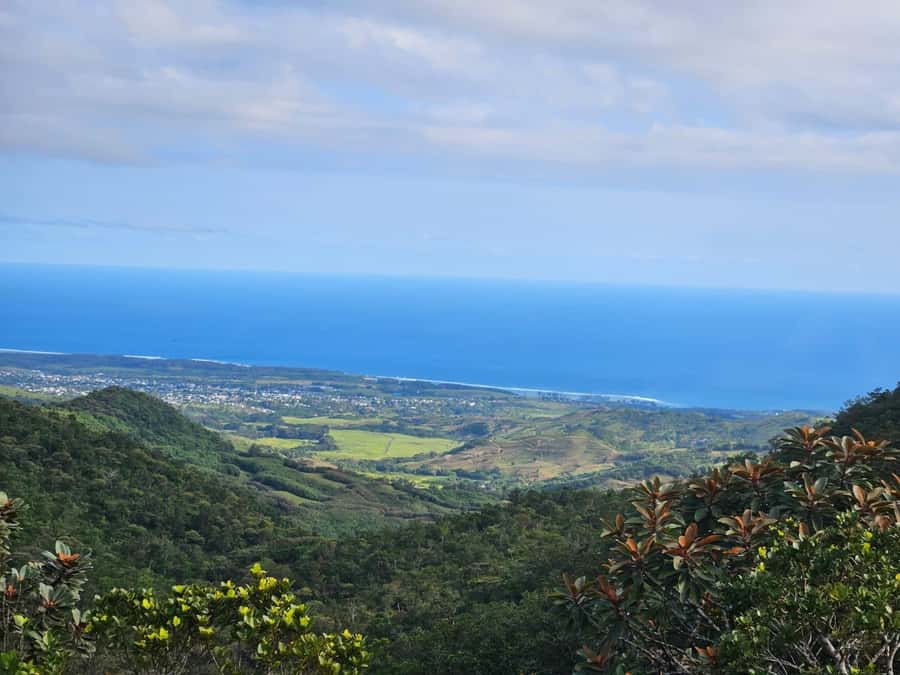 Mauritius: Sights of the South Private Tour with Rum Tasting - Alexandra Falls in Black River Gorges National Park