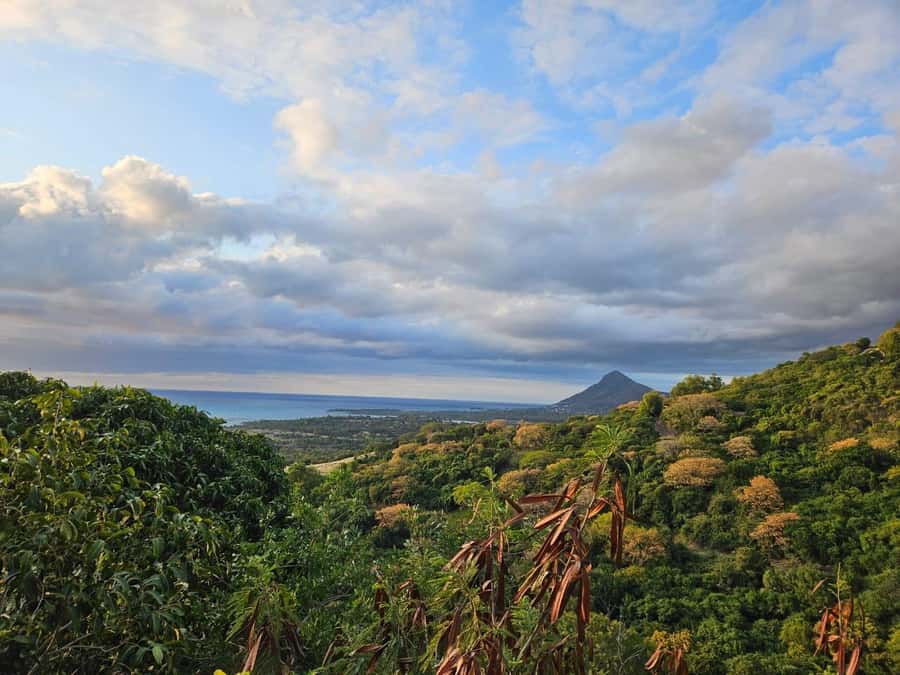 Mauritius: Sights of the South Private Tour with Rum Tasting - Chamarel Waterfall, nearly 100 meters of free fall