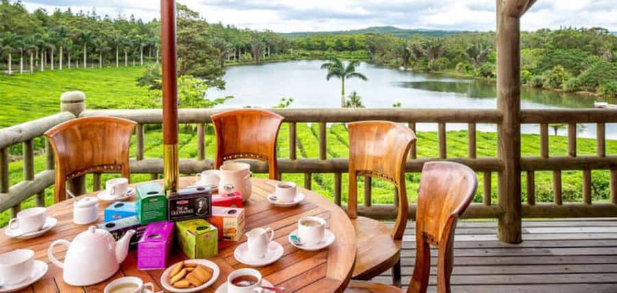 Mauritius: Tea, Rum and Vanilla Route with Lunch and Pickup - Lunch with vanilla in the mix