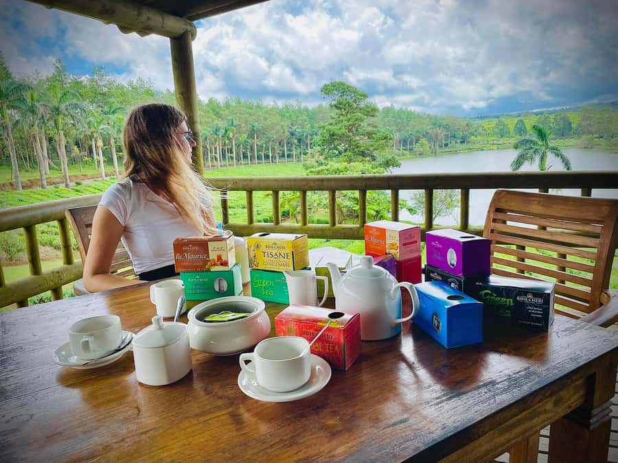 Mauritius: Tea, Rum and Vanilla Route with Lunch and Pickup - Le Domaine des Aubineaux and its 1872 colonial house