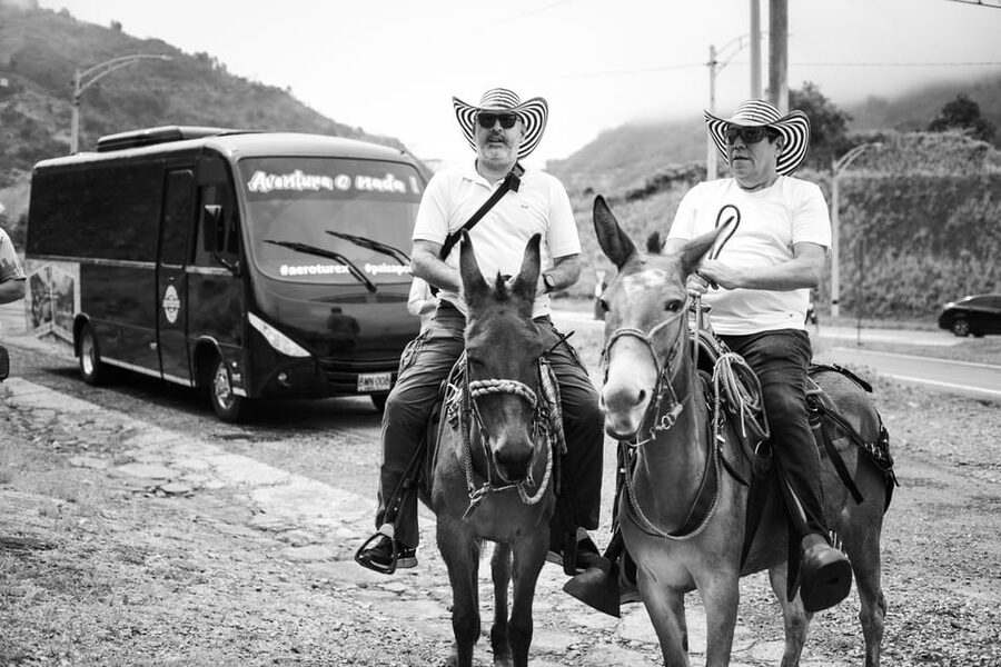 Medellin: Coffee Tour, Horseback Arrival, and Sugar Cane - Booking details worth checking