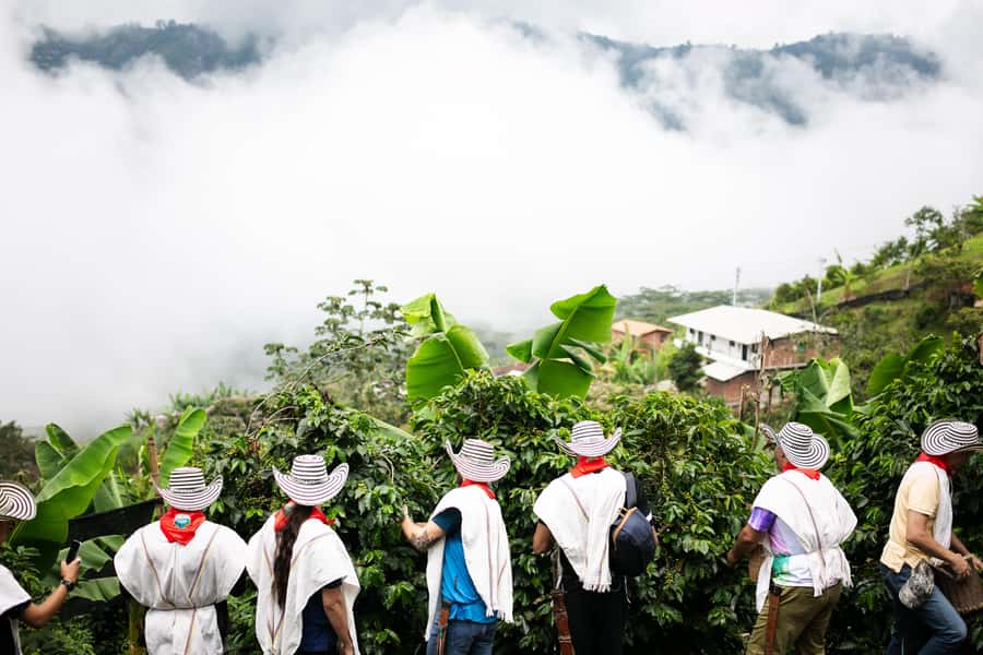 Medellin: Coffee Tour, Horseback Arrival, and Sugar Cane - Sugar cane, panela, and a shorter lesson