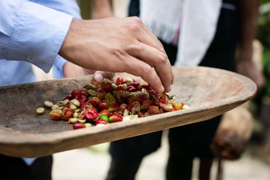 Medellin: Coffee Tour, Horseback Arrival, and Sugar Cane - What the $76 price really covers