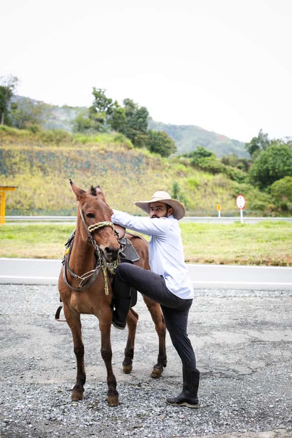 Medellin: Coffee Tour, Horseback Arrival, and Sugar Cane - Who should book this farm visit
