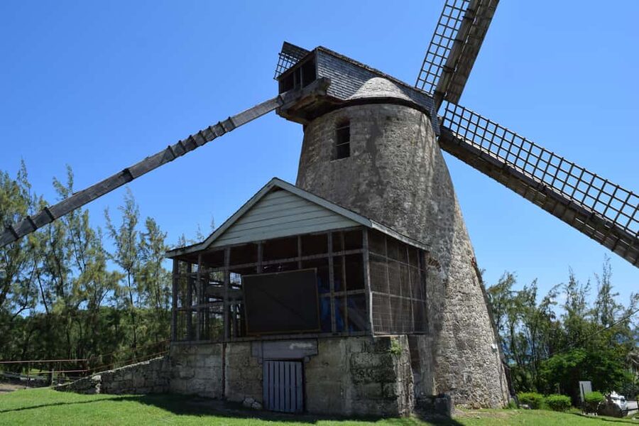 Monkey Feeding & Historic Sugar Plantation & Rum Distillery - Practical advice before you go